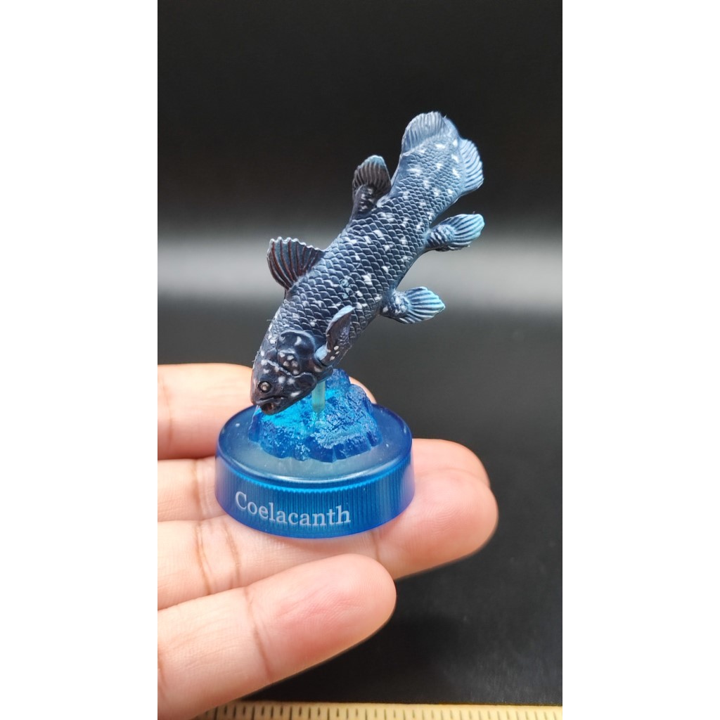 ฟิกเกอร์ ปลาจิ๋ว ปลาซีลาแคนท์ หายาก Kaiyodo Deep Sea Coelacanth Fish Odyssey Bottle Cap Mini Figure Japan import