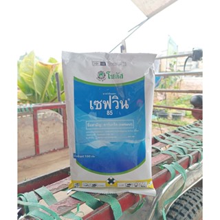 คาร์บาริล เซฟวิน 85 100กรัม กำจัดแมลงได้หลากหลายชนิดทั้งเพลี…