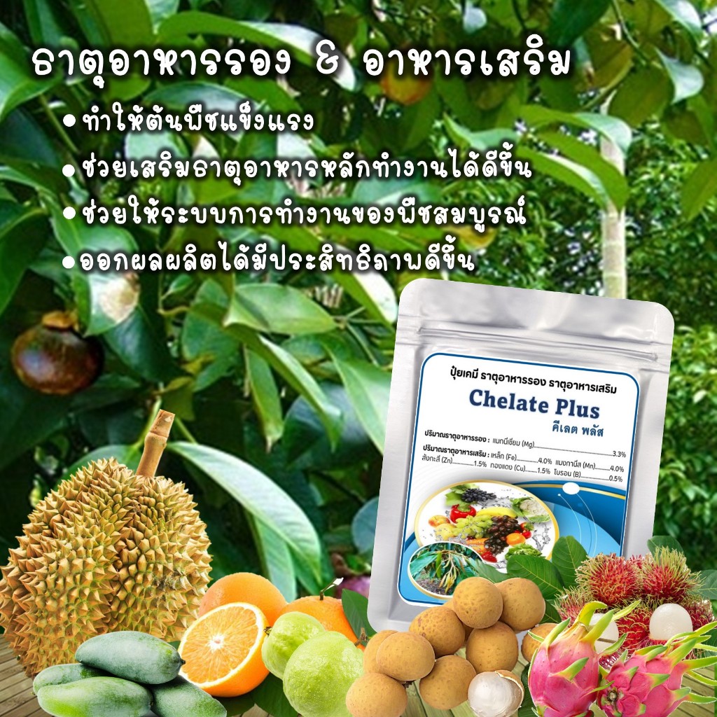 คีเลต พลัส(Chelate Plus) ธาตุอาหารรอง อาหารเสริม สารอาหารจำเป็นสำหรับพืช