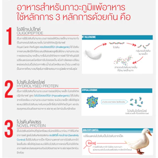 Royal Canin Anallergenic Small Dog 1.5 kg อาหารสุนัขพันธุ์เล็กที่มีภาวะแพ้อาหาร ในภาวะแพ้มาก ขนาด 1.5 กิโลกรัม