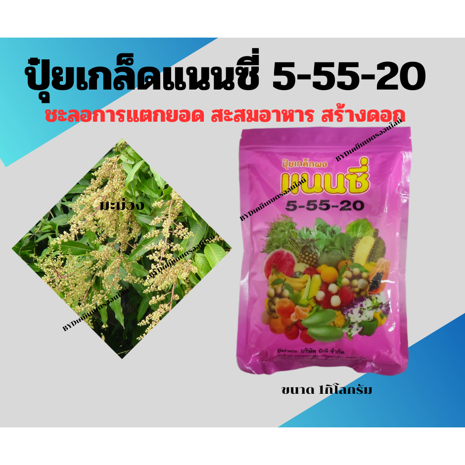 ปุ๋ยเกล็ดแนนซี่ สูตร 5-55-20 ปุ๋ยเกล็ดสูตรเข้มข้น สำหรับ สะสมอาหารให้พืช สร้างดอก กระตุ้นการแตกดอก ช่วยให้พืชดอกดก
