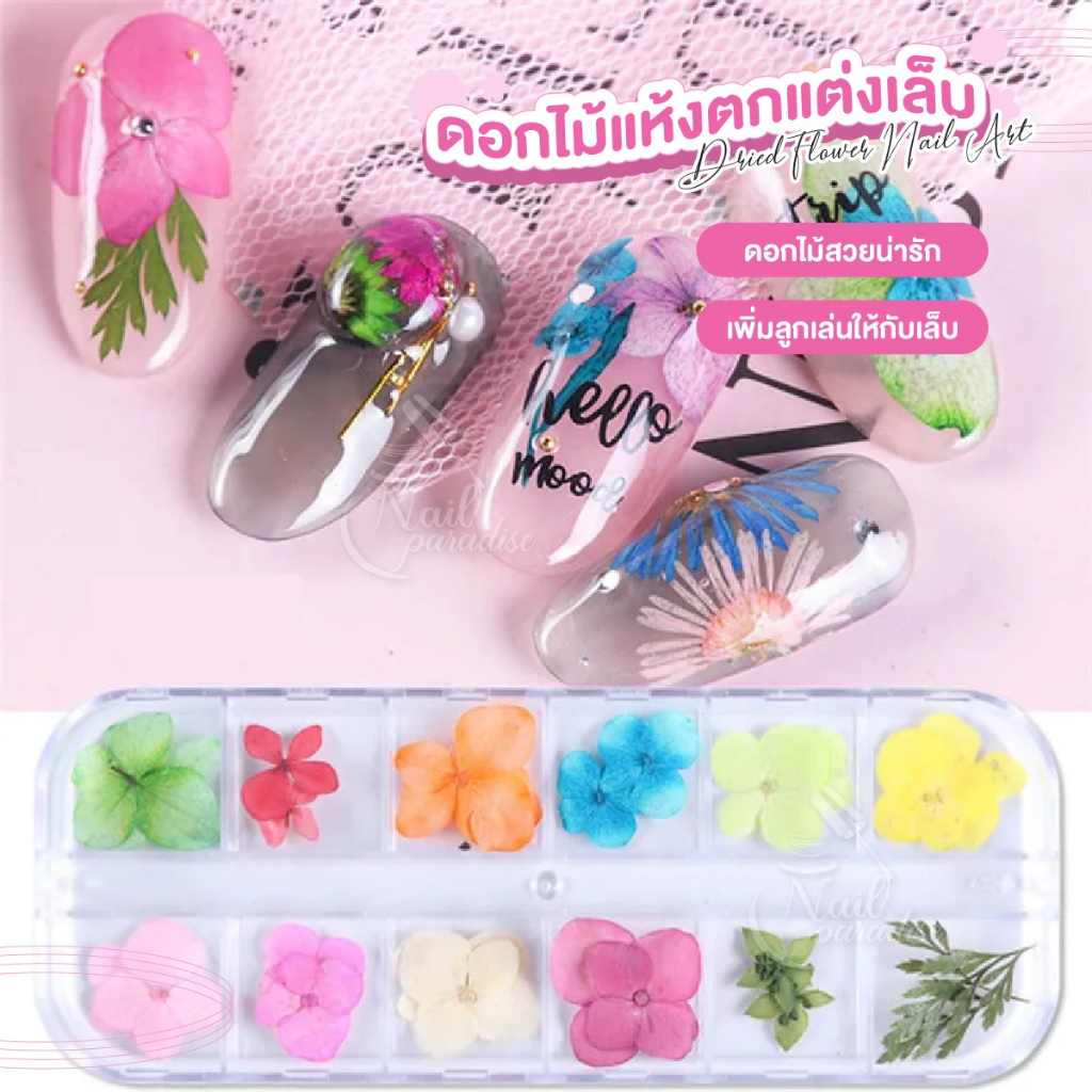 เซ็ตดอกไม้แห้ง สไตล์ญี่ปุ่น สำหรับตกแต่งเล็บ Dried Flowers Nail DIY มีให้เลือกหลายแบบ พร้อมส่งทุกวัน