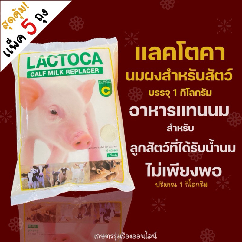 เเพ็ค5ถุง นมผงเเลคโตคา Lactoca หางนมผง อาหารเเทนนมสำหรับสัตว์ สำหรับลูกสัตว์ โค กระบือ หมู แพะ เเกะ ถุงละ1กิโลกรัม