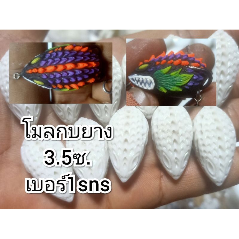 โมลกลับด้าน กบยางตาโต