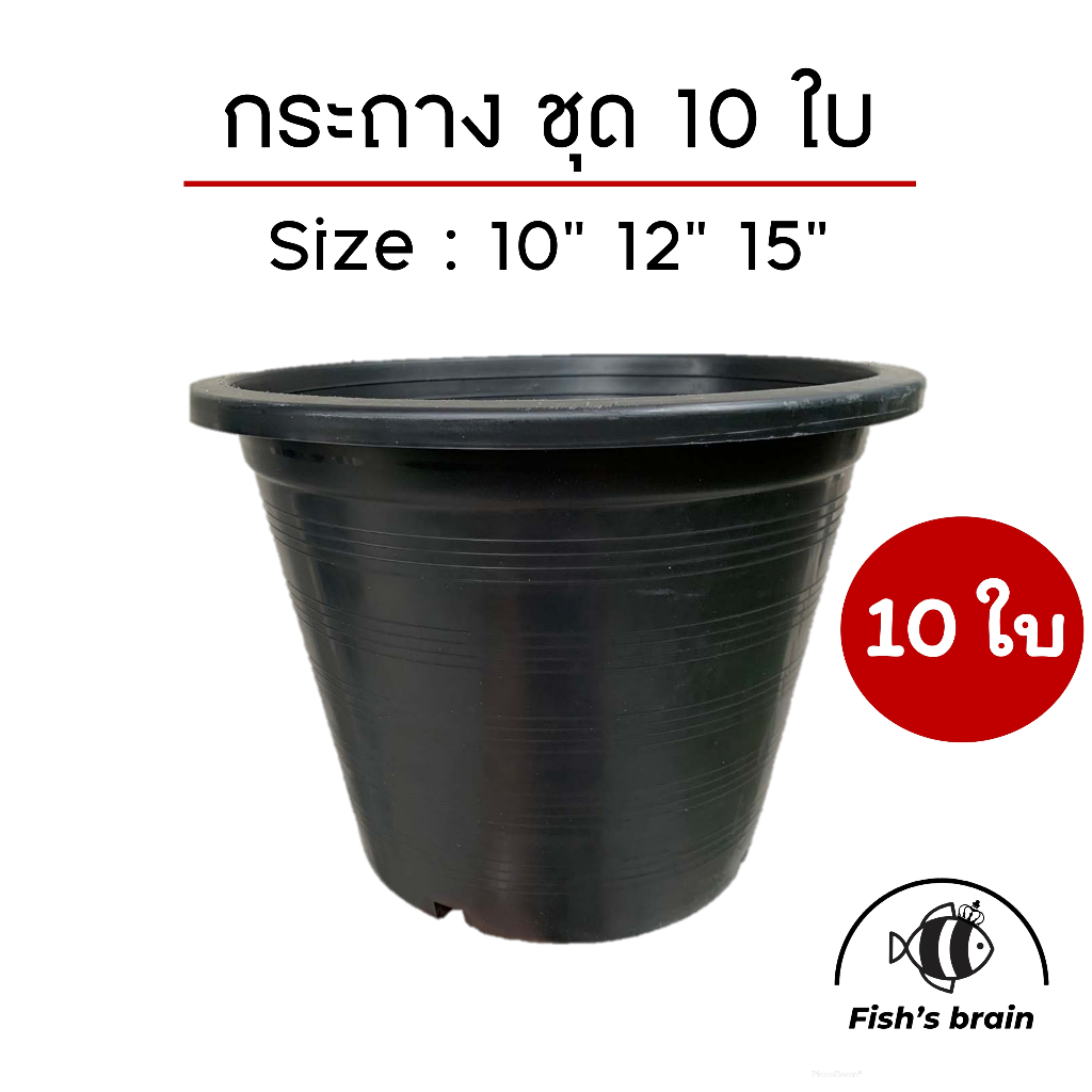 10ใบ!! กระถางพลาสติกดำ 10" 12" 15"