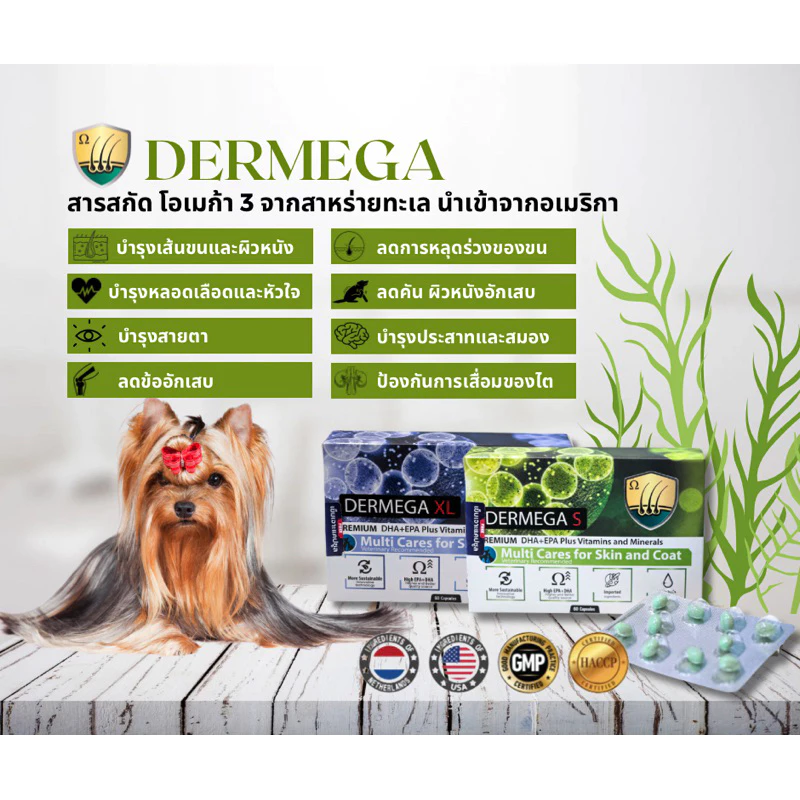 Dermega Omega3 จากสาหร่ายทะเล Algae oil บำรุงขนและผิวหนัง ลดอาการคัน ผิวหนังอักเสบ