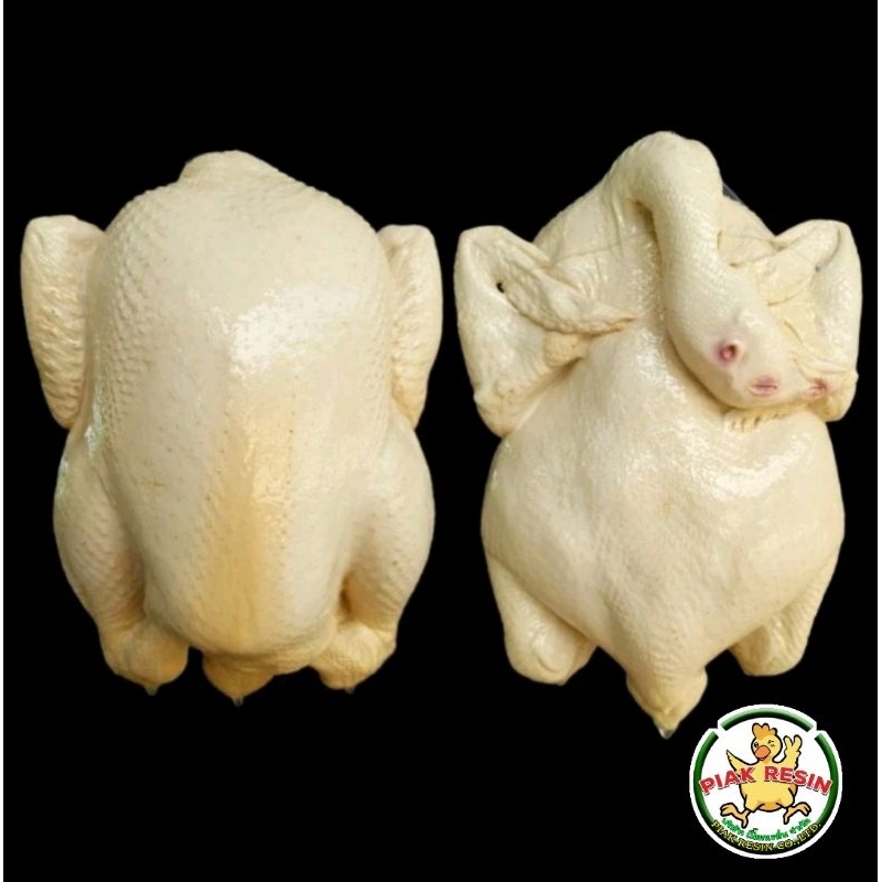 โมเดล ไก่ปลอม ขนาด 2 โล แบบขาว ตัวละ 630 บาท ขนาดกว้าง 17 ยาว 25 cm ไก่เรซิ่น ไก่ต้มปลอม โมเดลไก่ ไก่เทียม ไก่จำลอง