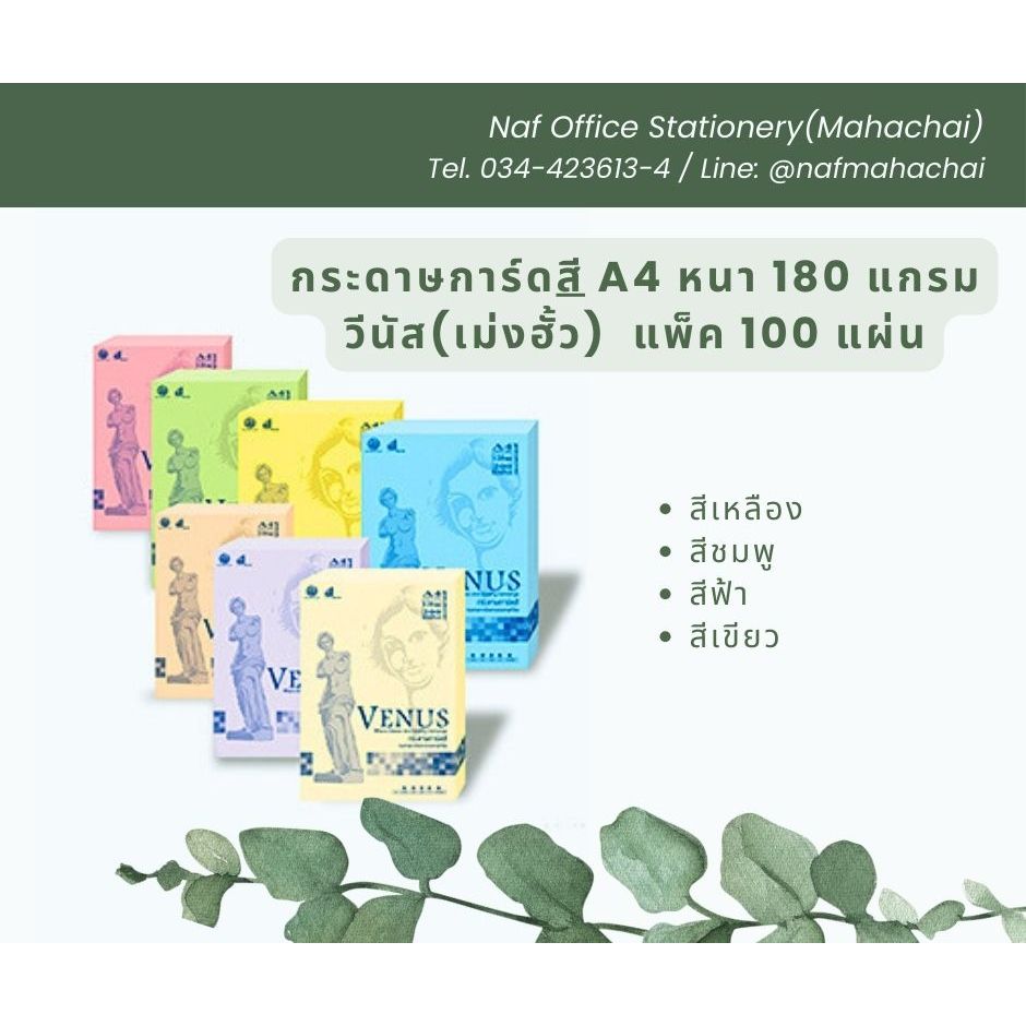 กระดาษการ์ดสี A4 ความหนา 180 แกรม วีนัส (แพ็ค100แผ่น)