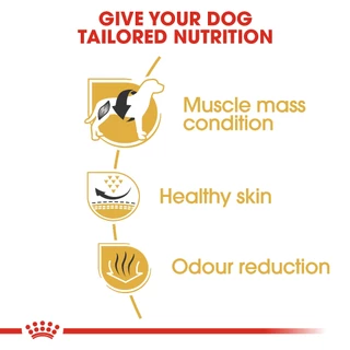 Royal Canin French Bulldog Adult 3Kg โต อาหารเม็ด สุนัขโตพันธุ์ เฟรนซ์บูลด๊อก 3 kg