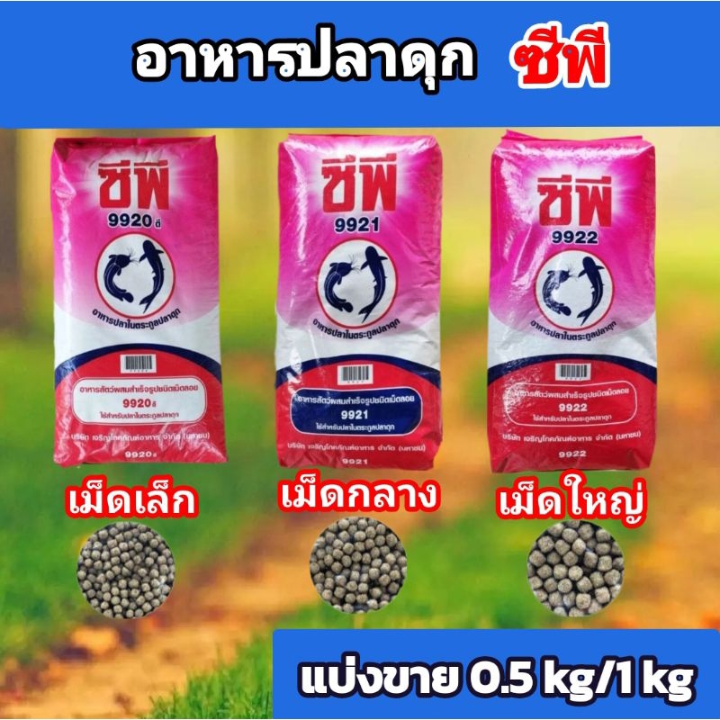 อาหารปลาซีพี CP สำหรับตระกูลปลากินเนื้อ ปลาดุก 9920/9921/9922