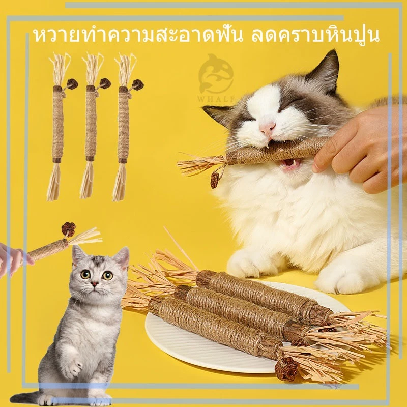 ไม้มาทาทาบิ ขัดฟันแมว แบบเชือก ไม้ขัดฟันแมว ของเล่นแมว ลดคราบหินปูน สําหรับสัตว์เลี้ยง แมว