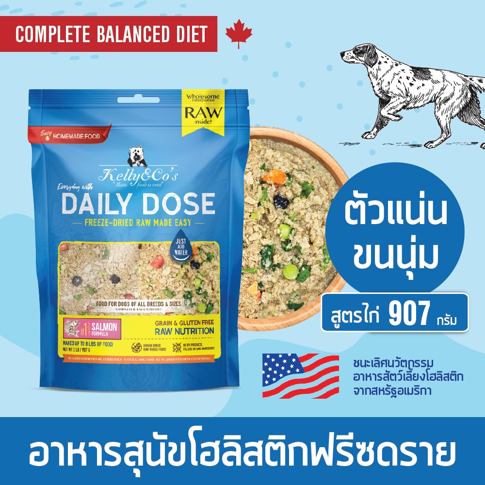 เคลลี่แอนด์โค เดลลี่โดส อาหารสุนัขฟรีซดราย เกรดกลูเตนฟรีพรีเมี่ยมโฮลิสติก สูตรปลาแซลมอน 907 กรัม