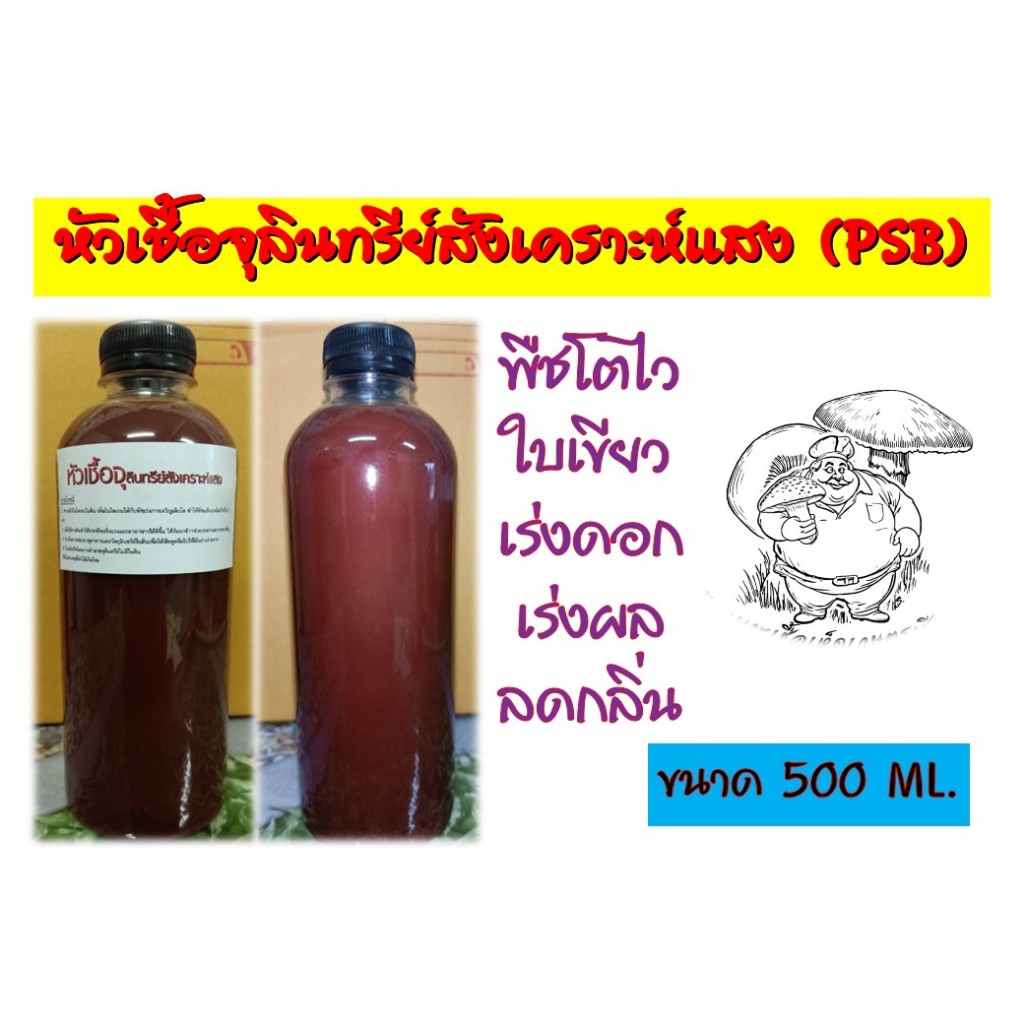 หัวเชื้อจุลินทรีย์สังเคราะห์แสง PSB