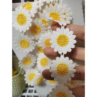 ดอกเดซี่​ ลูกไม้​แต่ง
