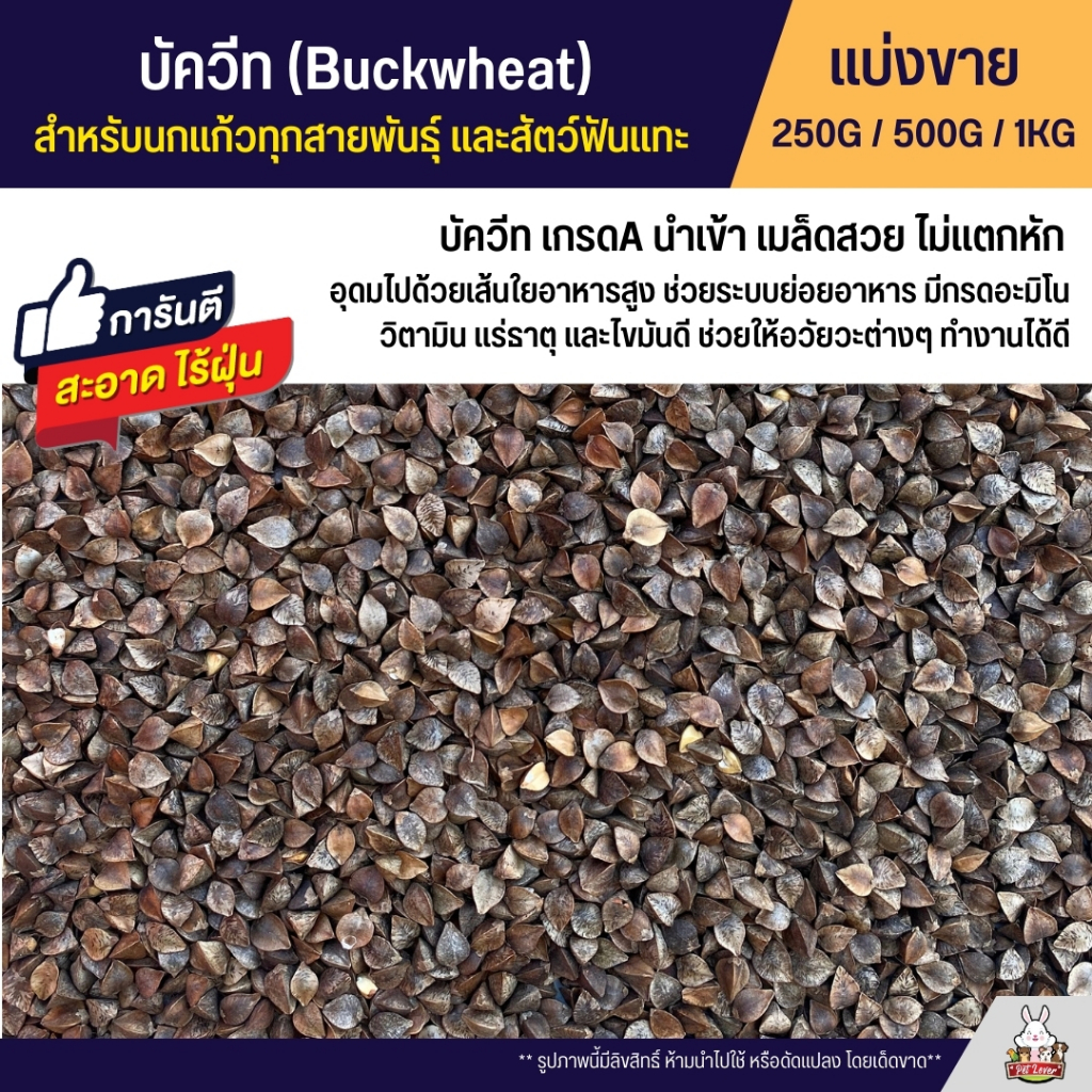 บัควีท Buckwheat เกรดA บัควีตอาหารนกแก้ว และสัตว์ฟันแทะ สะอาด ร่อนฝุ่นทุกถุง (แบ่งขาย 250G / 500G / 1KG)