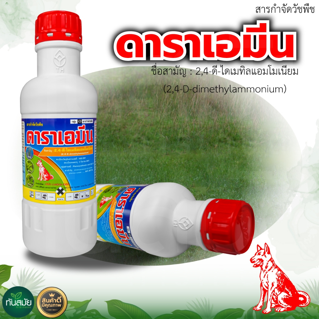 ดาราเอมีน หมาแดงน้ำ 2,4-ดี สารกำจัดวัชพืช ประเภทใบกว้าง เช่น ผักปอดนา เทียนนา โสนหางไก่ ผักบุ้ง