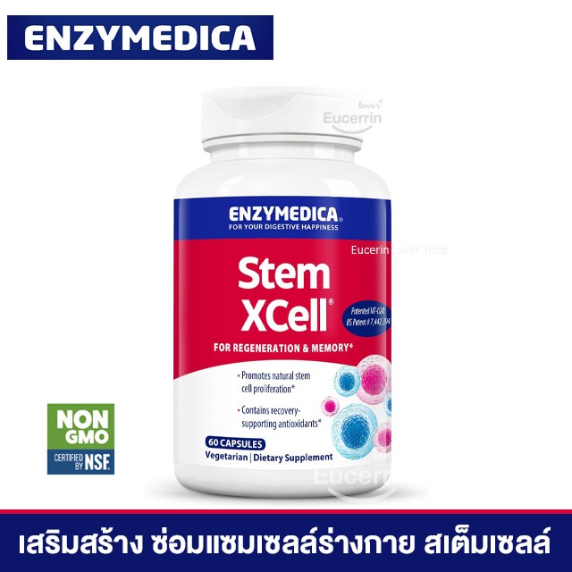 Enzymedica, Stem XCell, 60 Capsules เสริมสร้าง ซ่อมแซมเซลล์ร่างกาย สเต็มเซลล์