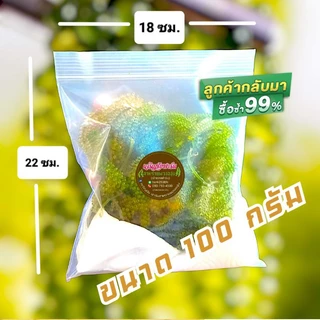 🔥1แถม1🔥สาหร่ายพวงองุ่น ขนาด100กรัม เจริญชัยฟาร์ม จ.เพชรบุรี