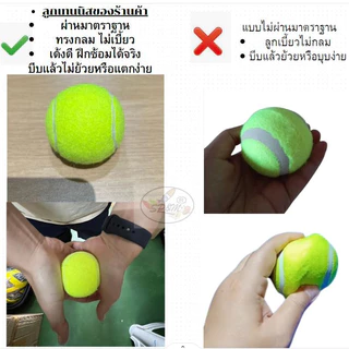 ลูกเทนนิส Tennis ball (12ลูก/แพค)