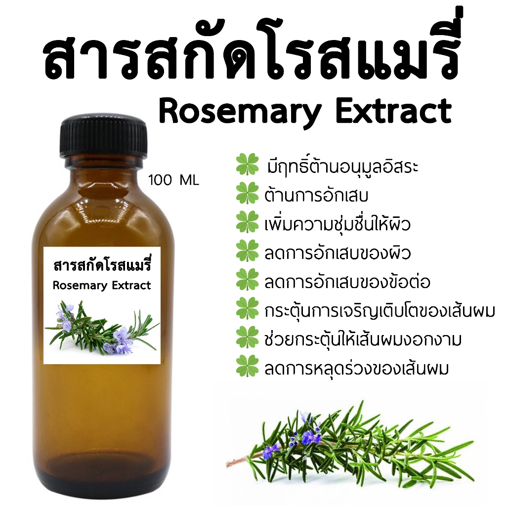 สารสกัดโรสแมรี่ Rosemary Extract 100 ML. สารสกัดสมุนไพรสำหรับใช้ในเครื่องสำอาง