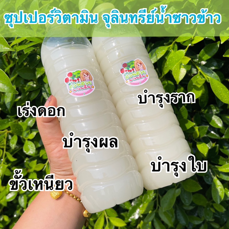 🍃ซุปเปอร์วิตามิน จุลินทรีย์น้ำซาวข้าว สูตรพลังเทอร์โบ เร่งดอกเร่งผล เร่งราก ปุ๋ยบำรุงใบ🍃