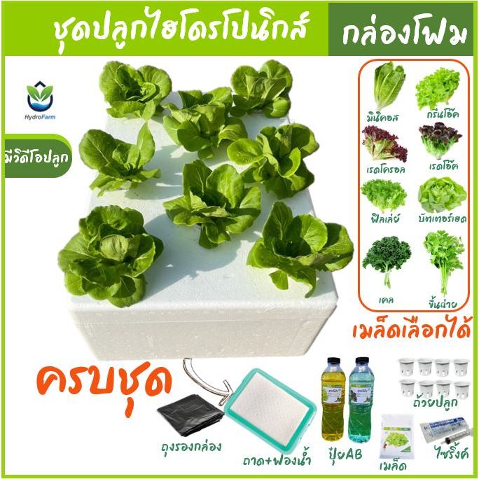 ชุดกล่องปลูกผักไฮโดรโปนิกส์ กล่องโฟม: เริ่มต้นง่ายๆ ที่บ้านคุณ