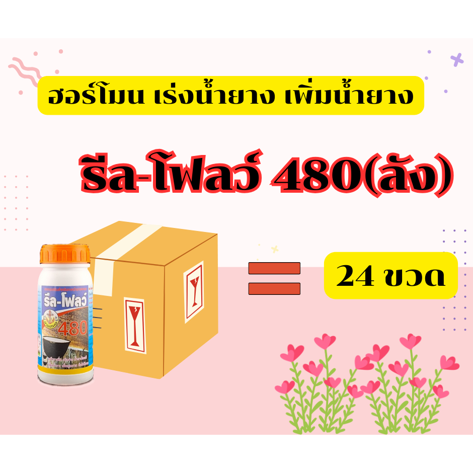 รีลโฟลว์ 480(ลัง) อาหารเสริม ช่วยให้น้ำยาไหลออกดี ไหลนาน %ยางไม่ตก ตราสามสมอ ขนาดลัง 24 ขวด