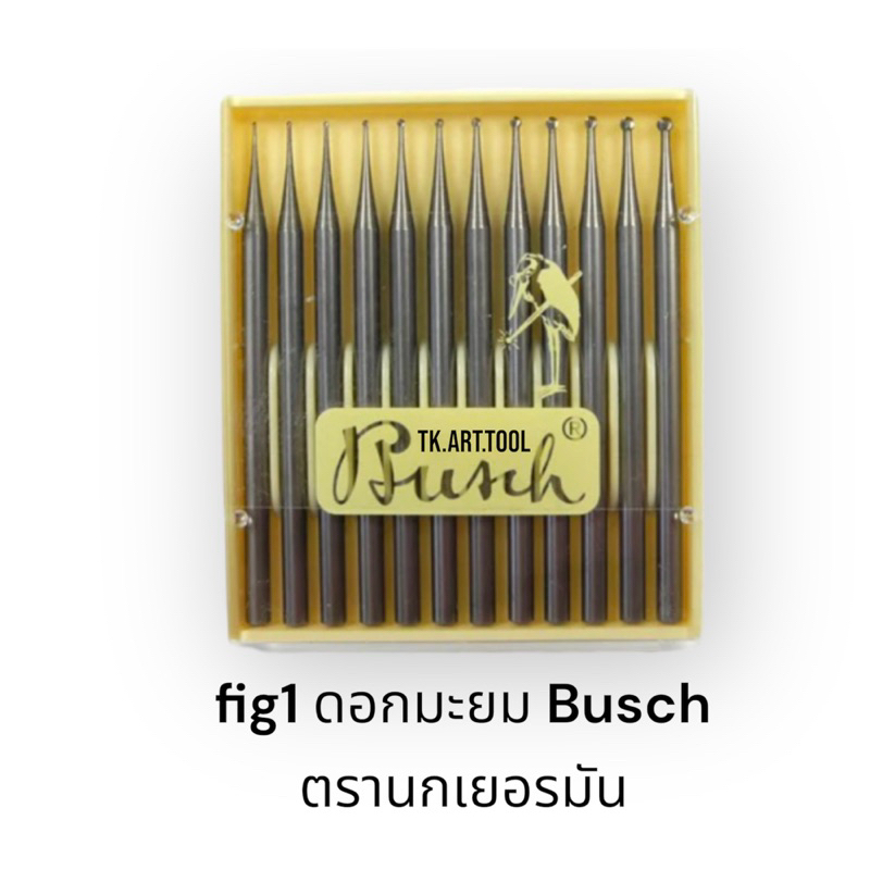 fig1 ดอกมะยม Busch ตรานกเยอรมัน ( ราคาต่อดอก )