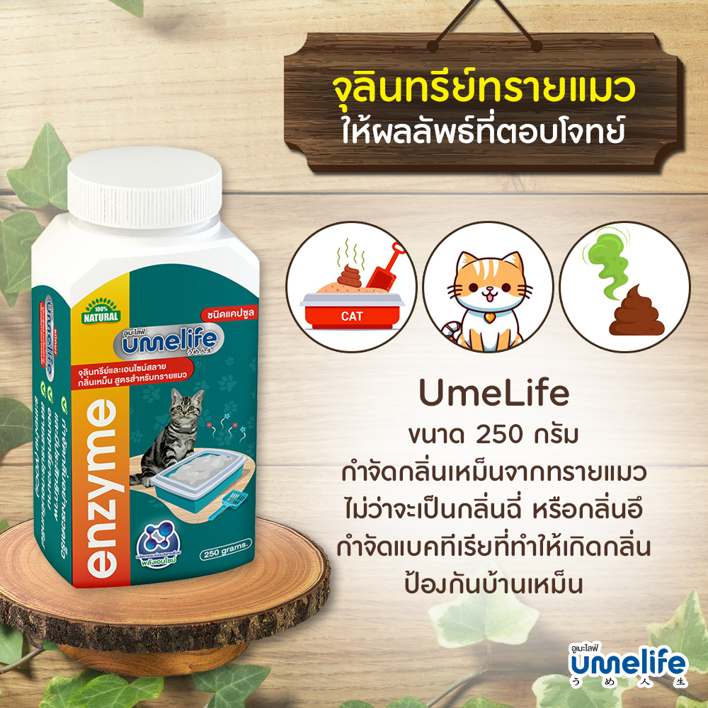 อูเมะไลฟ์ ดับกลิ่นทรายแมว 250 กรัม จุลินทรีย์กำจัดกลิ่นเหม็นในทรายแมว เม็ดกำจัดกลิ่นในทรายแมว กำจัดกลิ่นอึแมว ฉี่แมว