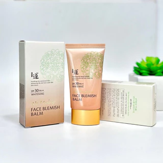 Welcos No Makeup Face BB Cream SPF30 50ml เวลคอส บีบีครีม คุมความมัน กันแดด