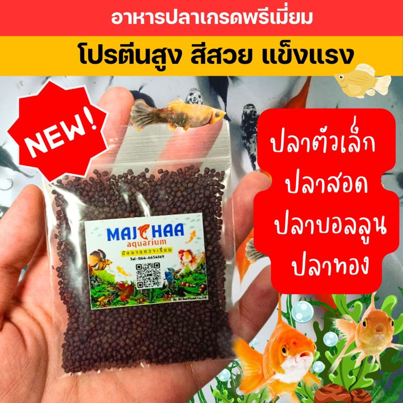 อาหารปลาทอง ปลาสอด ปลาบอลลูน ปลาเล็ก อาหารเกรดพรีเมี่ยม น้ำไม่ขุ่น โปรตีนสูง ปลาโตไว สีสวย