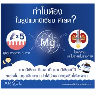 Amsel Magnesium Plus แอมเซล แมกนีเซียม พลัส (30 แคปซูล)