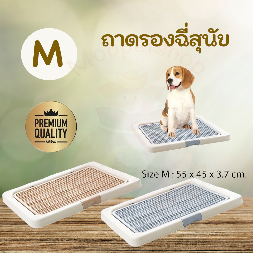 Kanimal Dog Toilet ห้องน้ำสุนัข รุ่นเปิดฝาบน พร้อมที่ล็อคฝา สำหรับสุนัขพันธุ์กลาง Size M ขนาด 55x45x3.7 ซม.