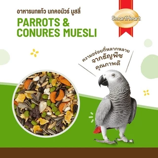 สมาร์ทฮาร์ท อาหารนกแก้ว นกคอนัวร์ มูสลี่ 1กก./ SmartHeart Parrots & Conures Muesli 1kg.
