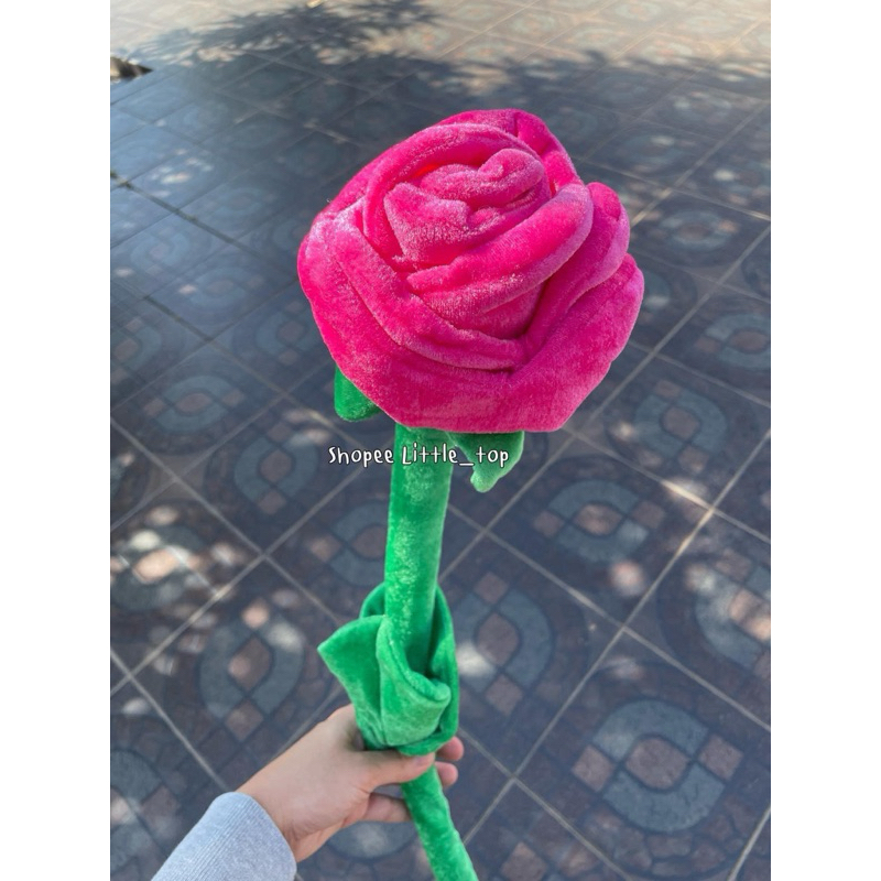 รูปภาพ 6