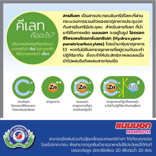 [ส่งฟรี] แมมมอท ยกลัง 16 ขวด อาหารเสริม อาหารรอง เทพวัฒนา ยกลัง ขวดลิตร