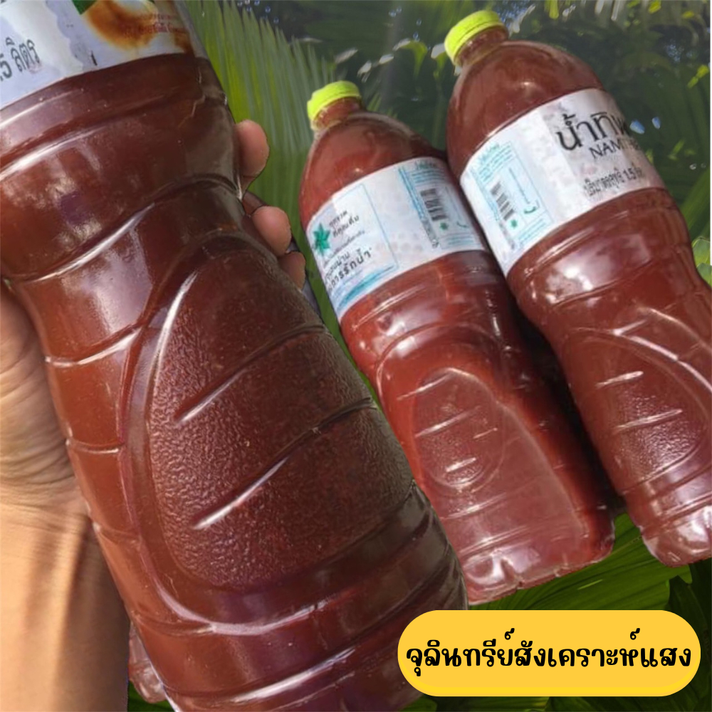 จุลินทรีย์สังเคราะห์แสง พร้อมใช้ ใช้ดีเห็นผลไว หัวเชื้อขยายต่อได้