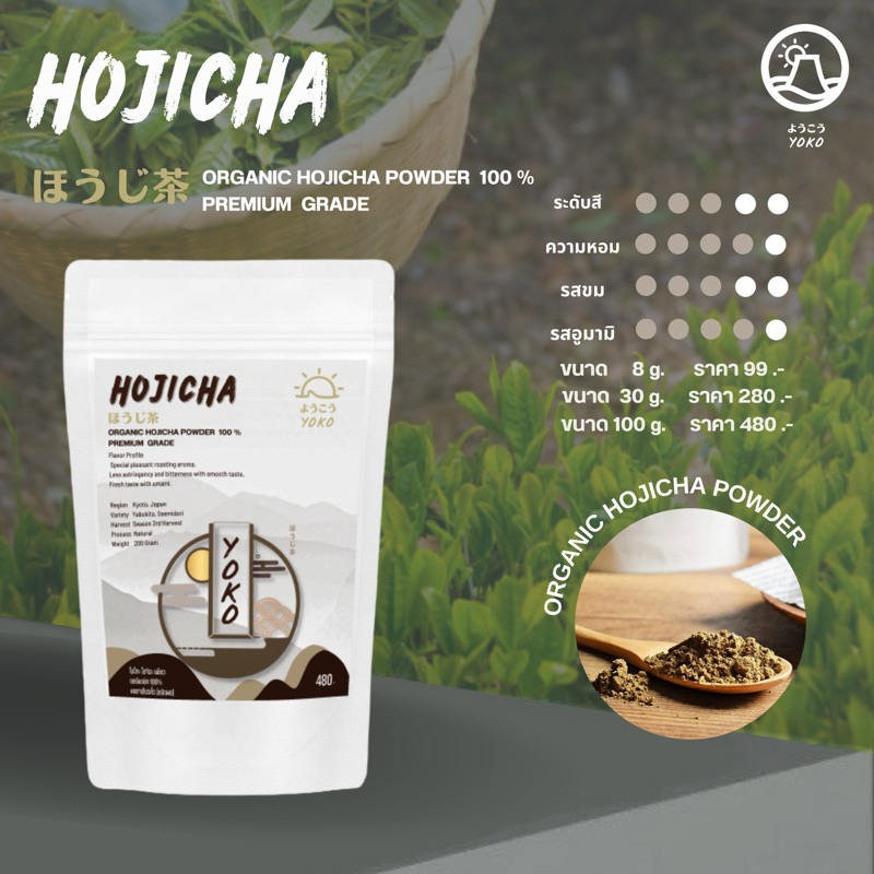 Hojicha - ผงโฮจิฉะออร์แกนิค 100% นำเข้าญี่ปุ่น | Premium Grade