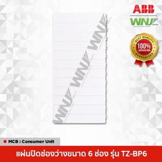 ABB แผ่นปิดช่องว่าง (6 ช่อง) รุ่น TZ-BP6