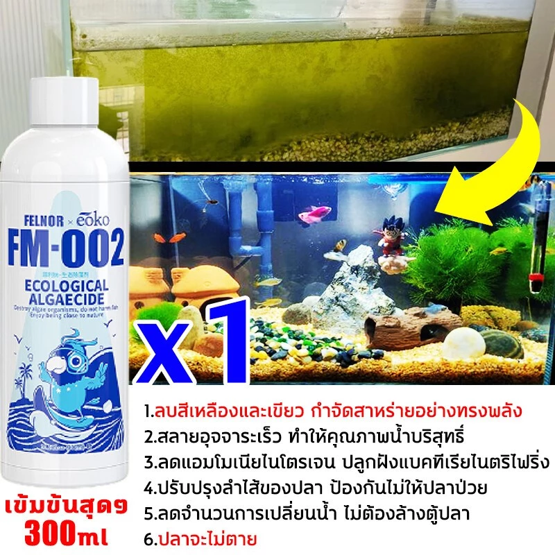 จุลินทรีย์บ่อปลา สลายอุจจาระปลา ปรับสภาพน้ำ ขจัดสารพิษ น้ำใส thumbnail 3