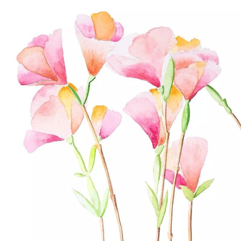 กระดาษแนปกิ้นขนาด 33*33 ซ.ม.สำหรับงานเดคูพาจและสบู่