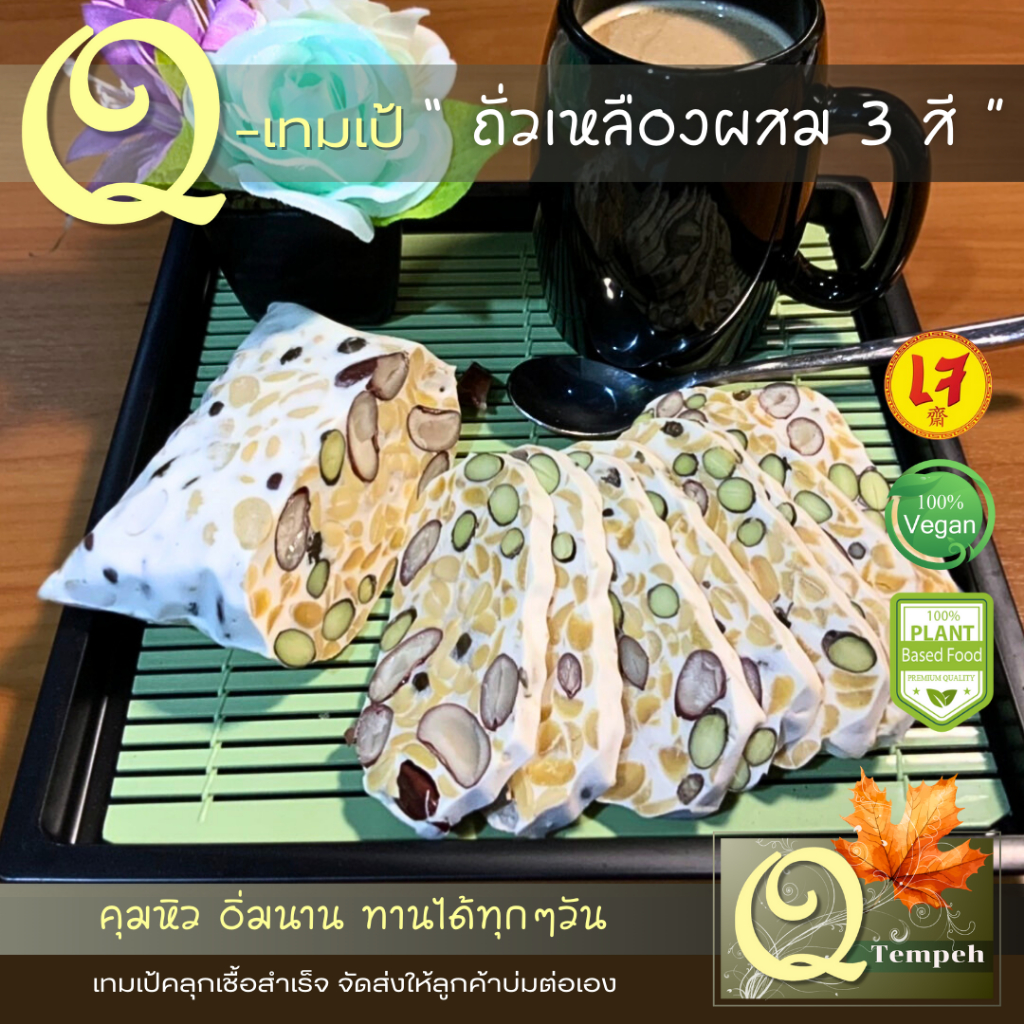 เทมเป้ถั่วเหลืองผสม 3 สี (200g-1kg) โปรตีนถั่วธัญพืชที่มีโพรไบโอติกส์และไฟเบอร์สูง นำไปบ่มต่อได้ง่าย
