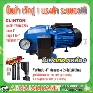 ปั๊มเจ็ท ท่อคู่ระบบออโต้ 1 แรงม้า 750W ดูดลึก 30 เมตร ปั๊มน้ำ ใบพัดทองเหลืองแท้ CLINTON รุ่น DP750W