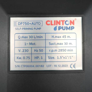 ปั๊มเจ็ท ท่อคู่ระบบออโต้ 1 แรงม้า 750W ดูดลึก 30 เมตร ปั๊มน้ำ ใบพัดทองเหลืองแท้ CLINTON รุ่น DP750W