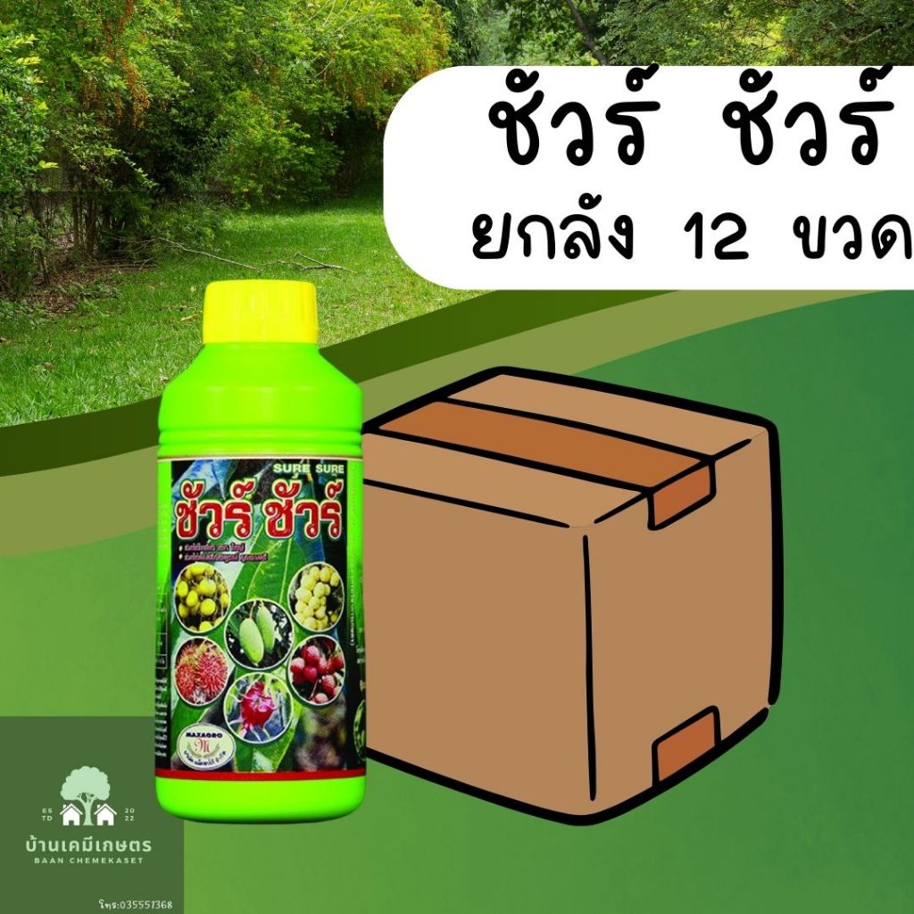 ชัวร์ ชัวร์ ฮอร์โมนพืช ฉีดขยายลูก ขนาด1 ลิตร ยกลัง