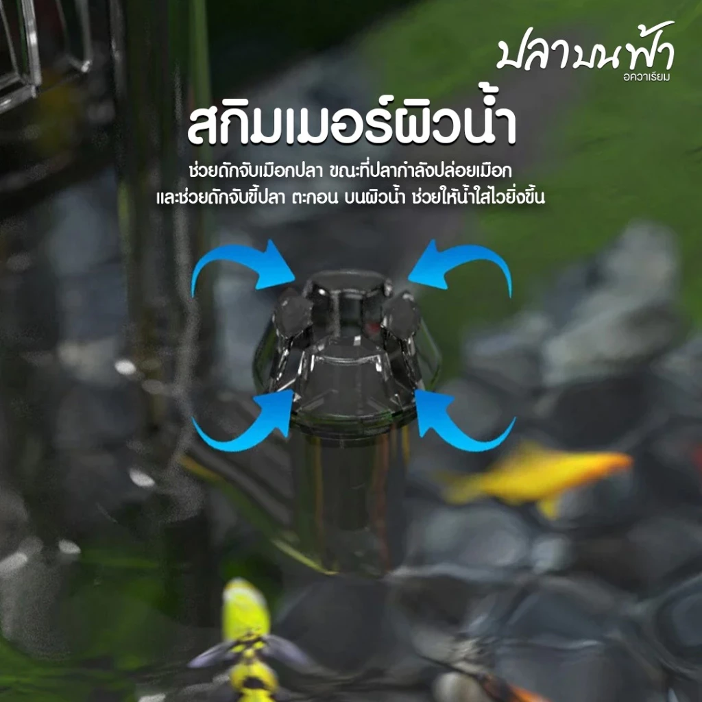 กรองแขวน Jeneca รุ่น XP-03, XP-05, Xp-09, XP-11, Xp-13 กรองแขวนกรองขี้ปลา สิ่งสกปรกต่างๆ ดูแลน้ำให้ในใสตลอดเวลา มีน้ำตก thumbnail 4