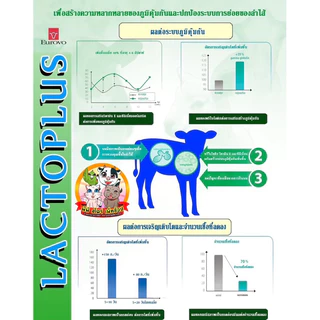 นมผงสำหรับลูกสัตว์ นำเข้าจากประเทศฝรั่งเศส Lactoplus/Lactovo