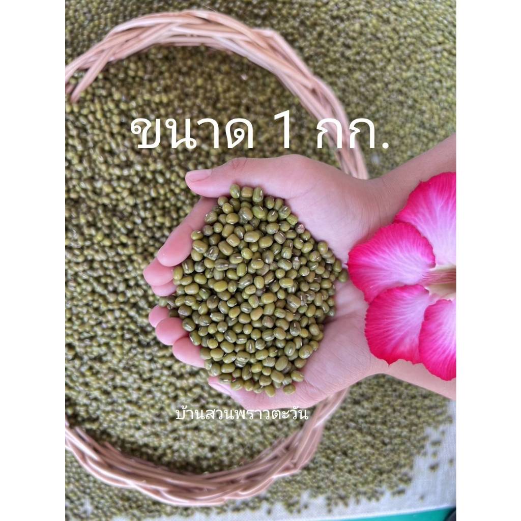 ถั่วเขียว 1 กก.สินค้าใหม่ ถั่วเขียวอินทรีย์