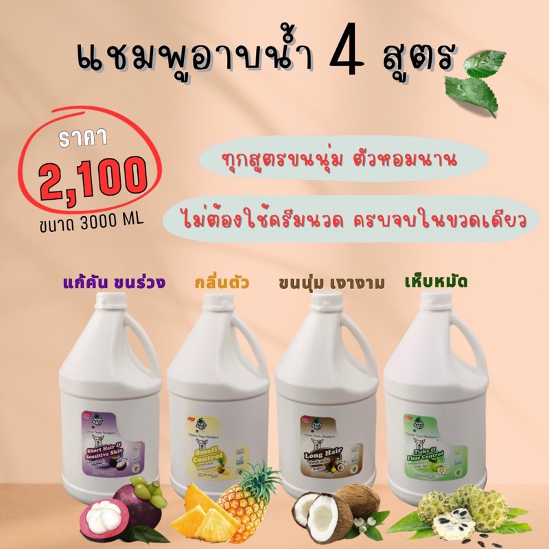 แชมพูอาบน้ำ4สูตรแบบแกลลอนใหญ่ขนาด3000ml.ครบจบในขวดเดียวไม่ต้องใช้ครีมนวดประหยัดคุ้มใช้ได้นานเก็บได้นาน2ปี