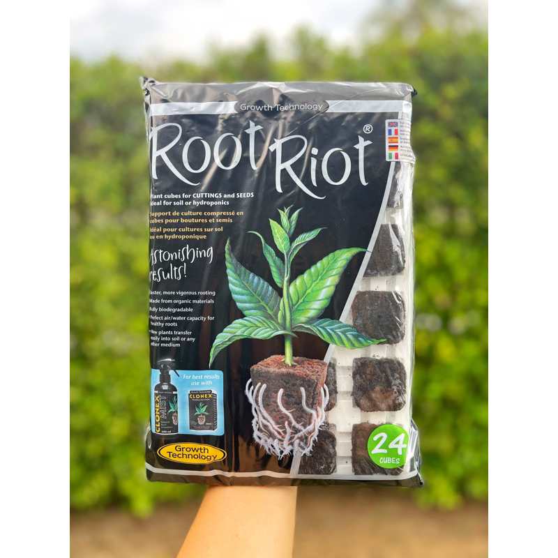 Root Riot แพ็คเดิมแท้ 100% (ขนาด 24cubes) ปักชำ เพาะเมล็ด